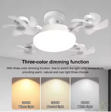 Ceiling Fan with LED Light